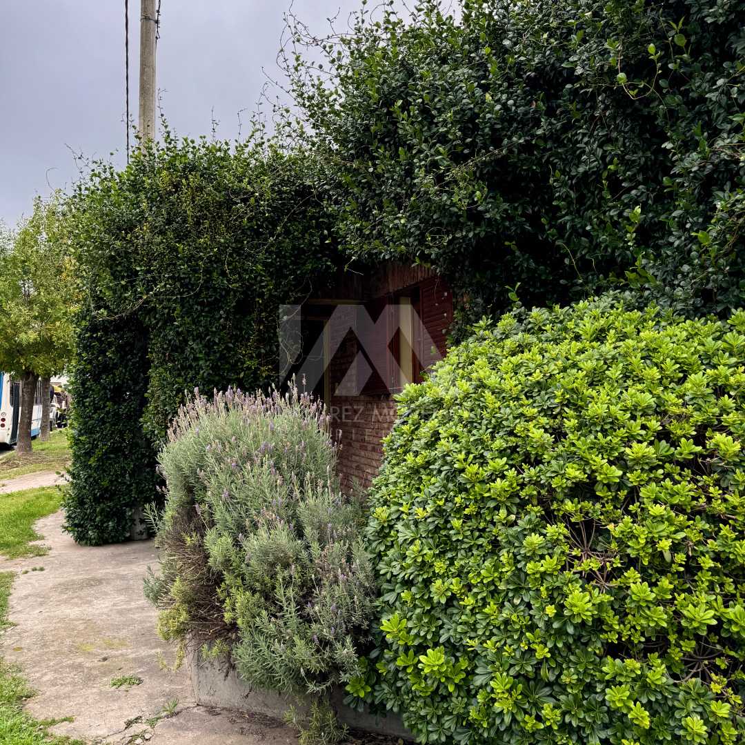 Alvarez Moreno Propiedades - Brinda asesoramiento y soluciones a nuestros clientes en lo que se refiera al mercado inmobiliario. Ventas, tasaciones, alquileres de todo tipo de propiedadesCasa en esquina España y Lacunza