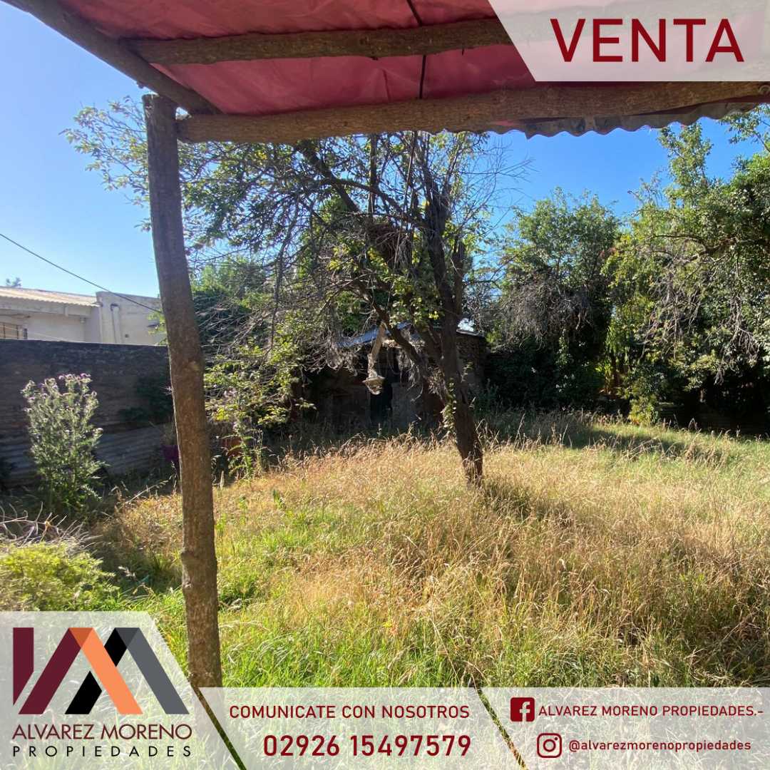 Alvarez Moreno Propiedades - Brinda asesoramiento y soluciones a nuestros clientes en lo que se refiera al mercado inmobiliario. Ventas, tasaciones, alquileres de todo tipo de propiedadesCASA SOBRE AVDA 12 DE OCTUBRE