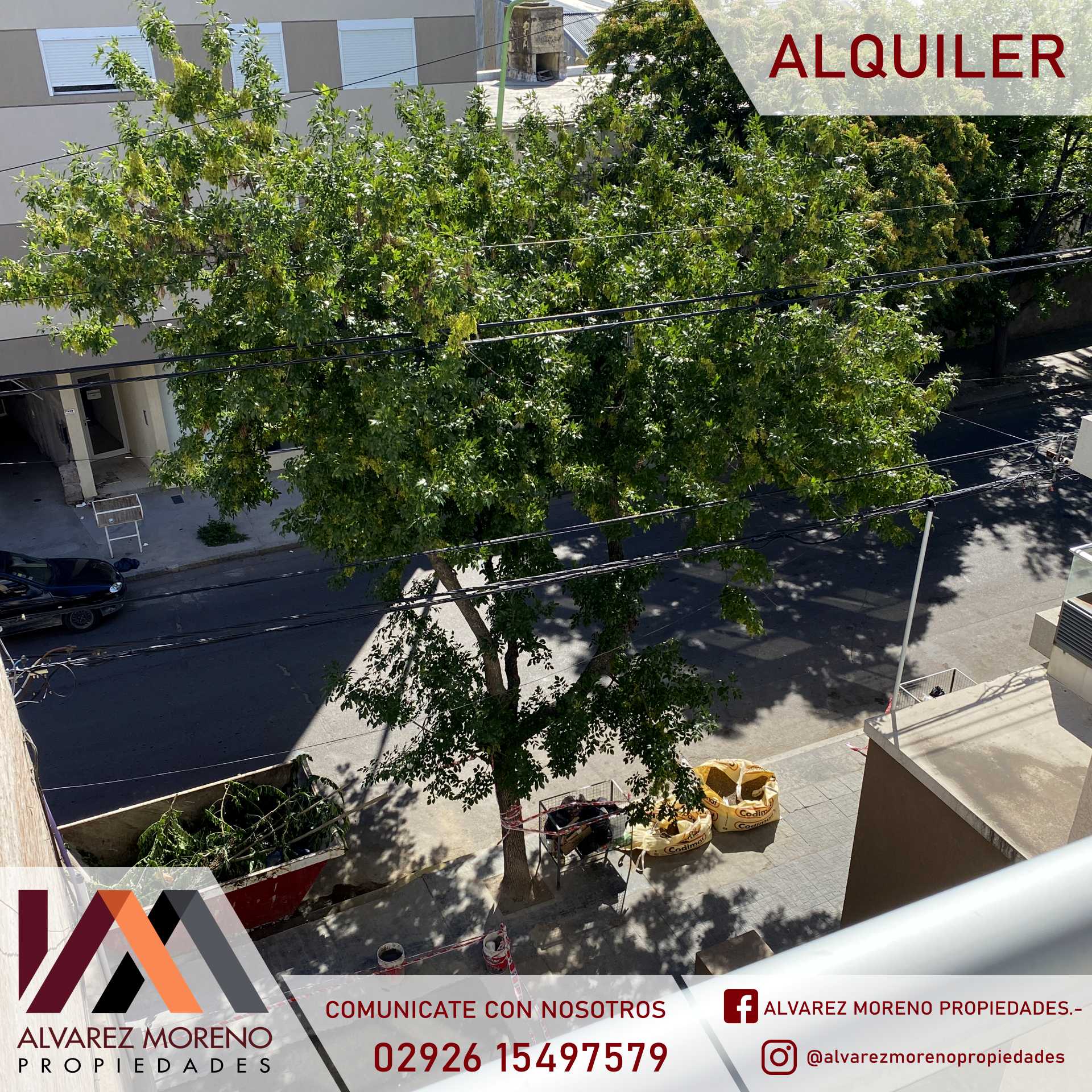 Alvarez Moreno Propiedades - Brinda asesoramiento y soluciones a nuestros clientes en lo que se refiera al mercado inmobiliario. Ventas, tasaciones, alquileres de todo tipo de propiedades$600.000- IMPECABLE DEPTO EN ALQUILER  BAHIA BLANCA